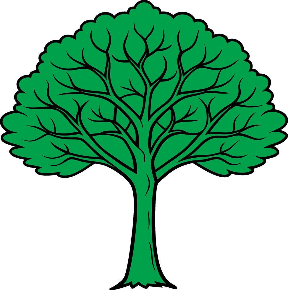 tree with leaves vector