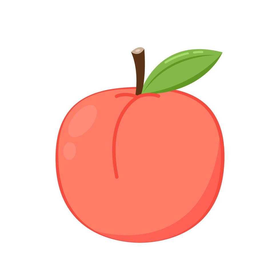 Peach cartoon . Doodle peach with leaves icon. Peach fruit in shape of heart isolated on white background. Farm, natural food, fresh fruits. vector