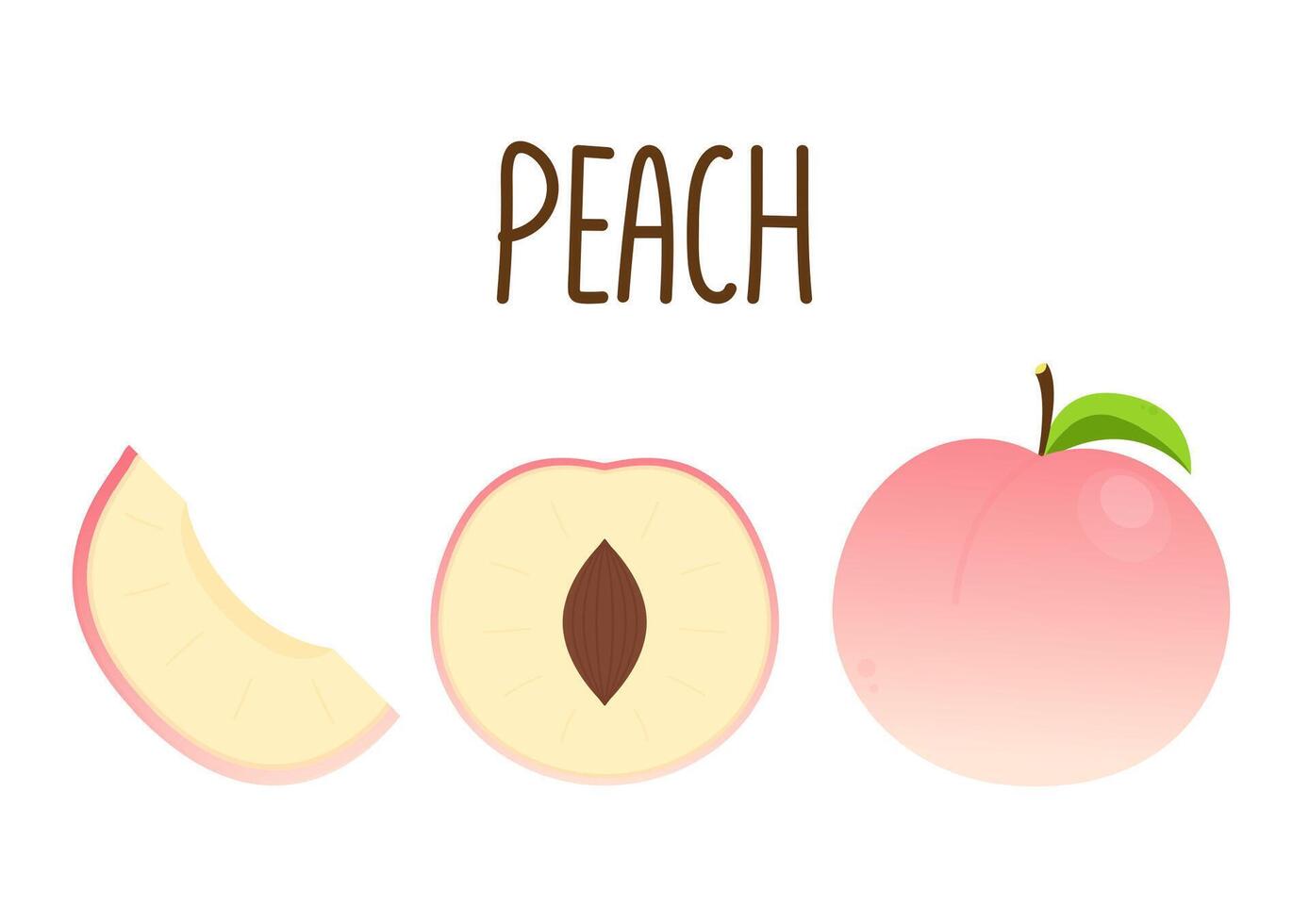 Peach cartoon . Doodle peach with leaves icon. Peach fruit in shape of heart isolated on white background. Farm, natural food, fresh fruits. vector