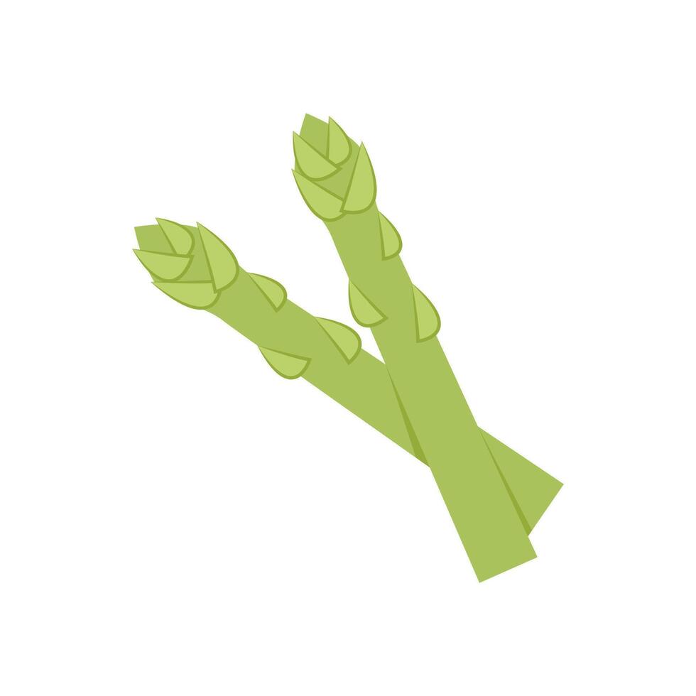 Garden asparagus on white background. Garden asparagus cartoon . vector