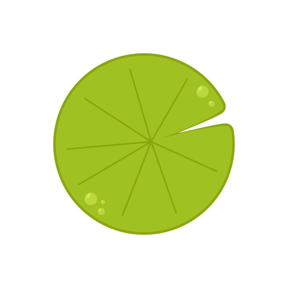 Lily pad . Lily cartoon on white background. vector