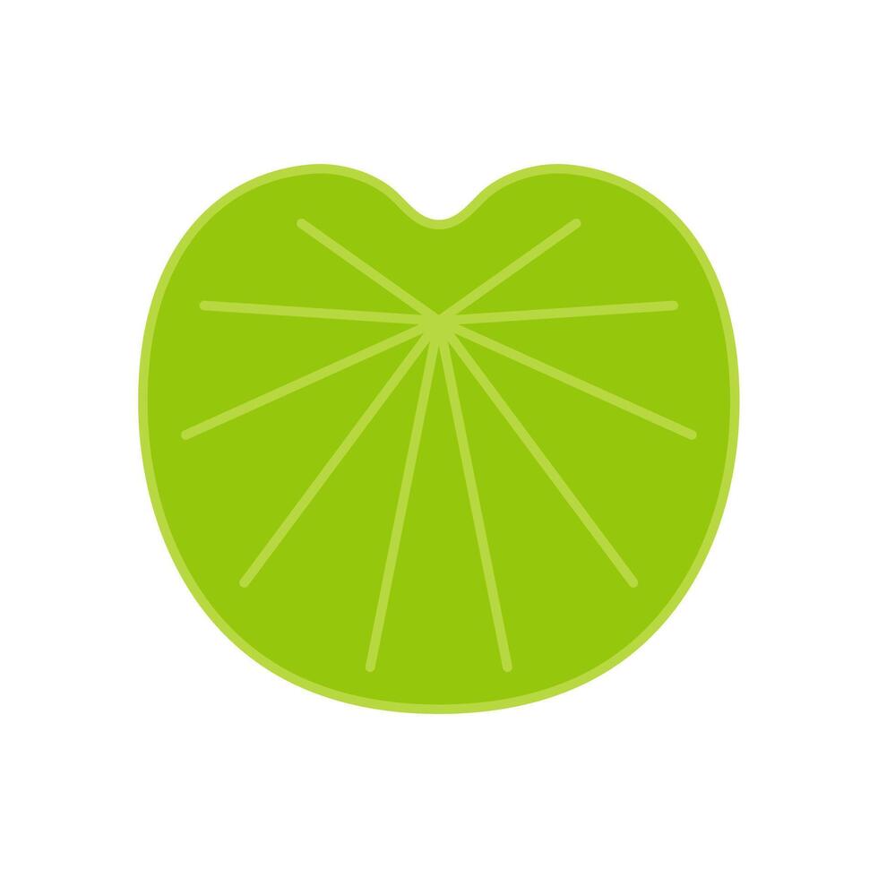 Lily pad . Lily cartoon on white background. vector