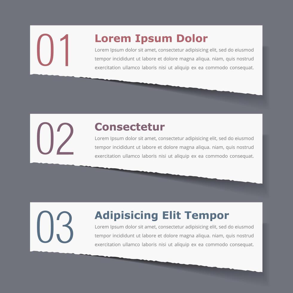 Torn paper with numbers and text vector