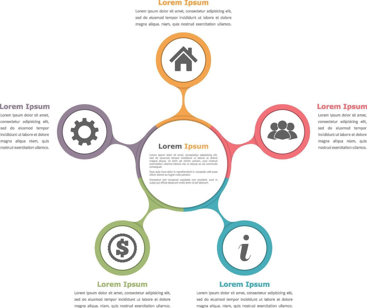 Circle diagram with five elements with icons and text vector