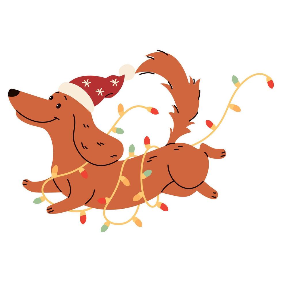 Flat illustration in children's style. Cute dachshund in Santa Claus hat running tangled in a garland. Christmas illustration vector
