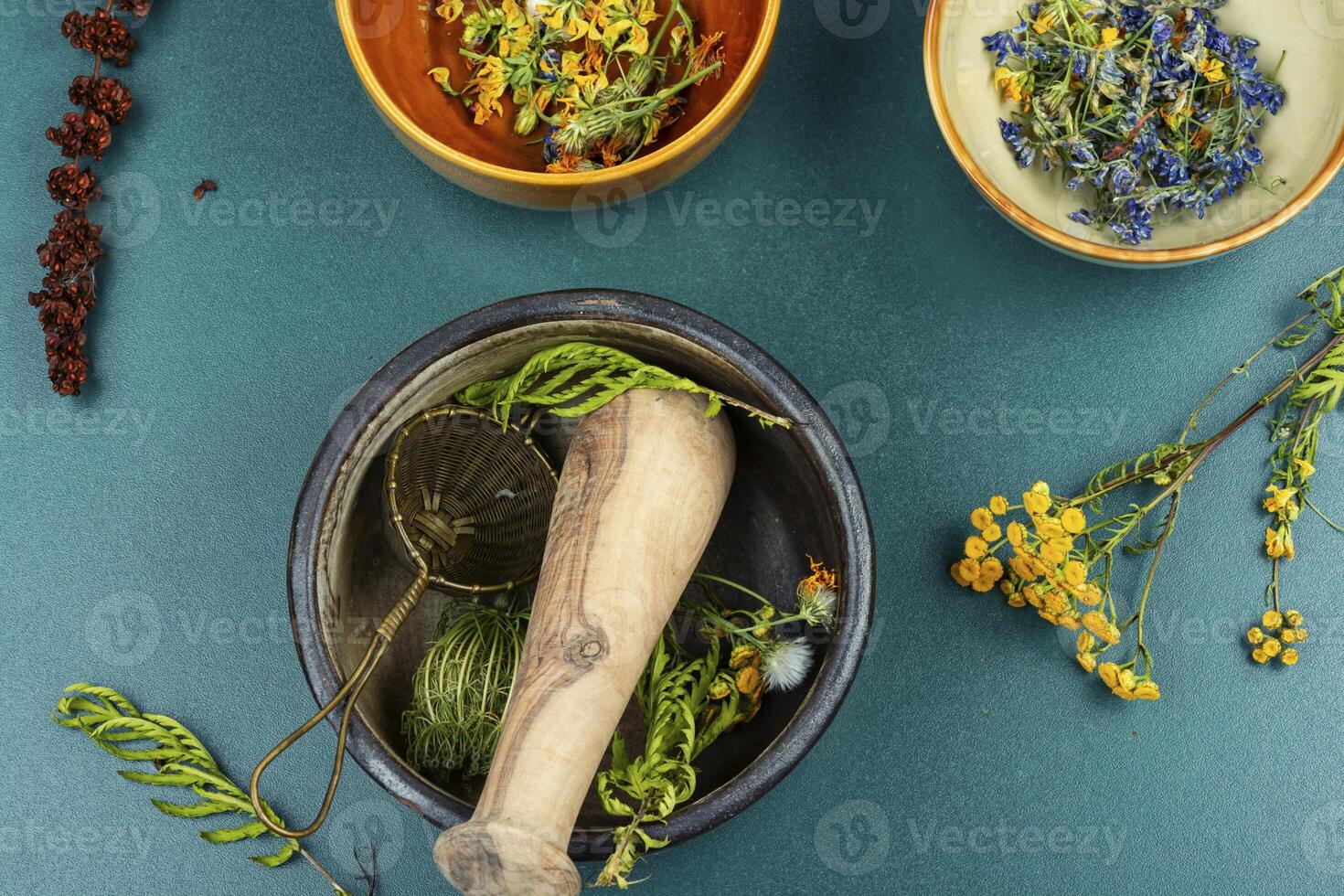 Medicinal and healing herbs photo