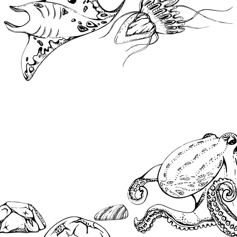 Manta ray jellyfish octopus Marine life, sea ocean underwater creatures, Ink and pen sketch hand drawn. Border frame illustration stylized, isolated on white. For zoo shop, aquarium, cosmetics, resort vector