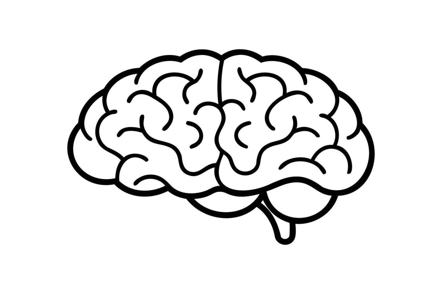 a black and white drawing of a brain vector