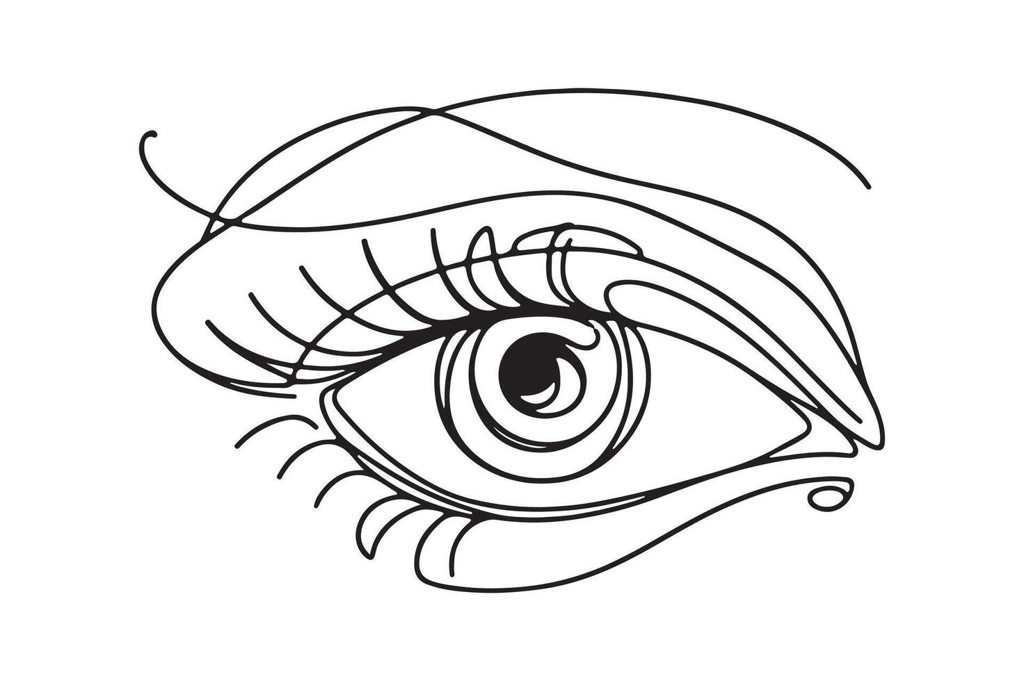 a drawing of an eye with a long line vector