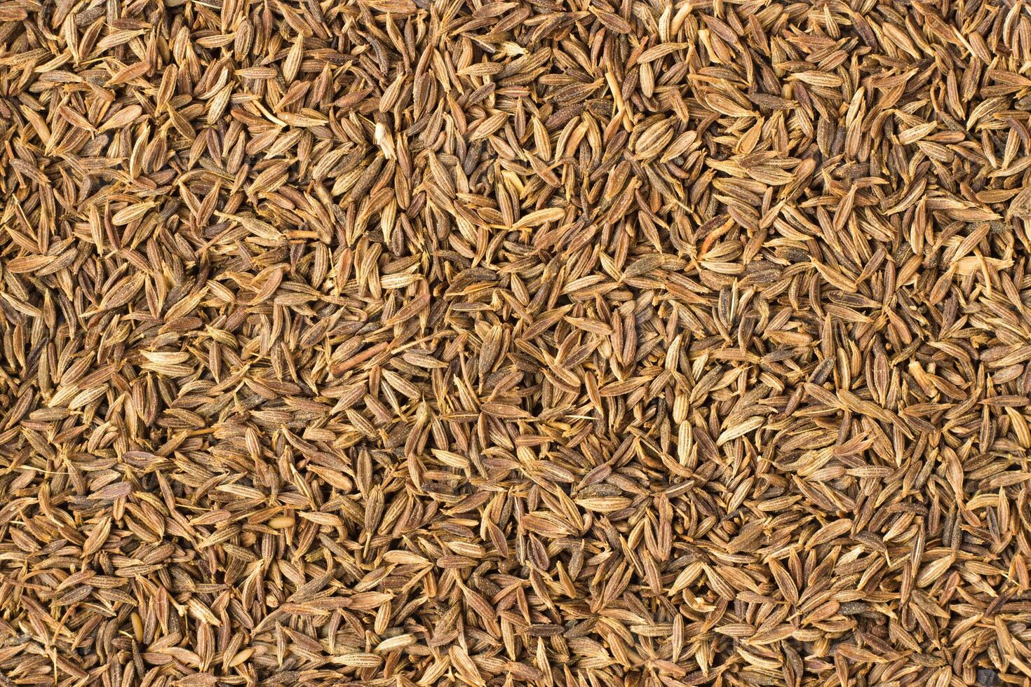 zira black spice as a background, natural seasoning texture photo