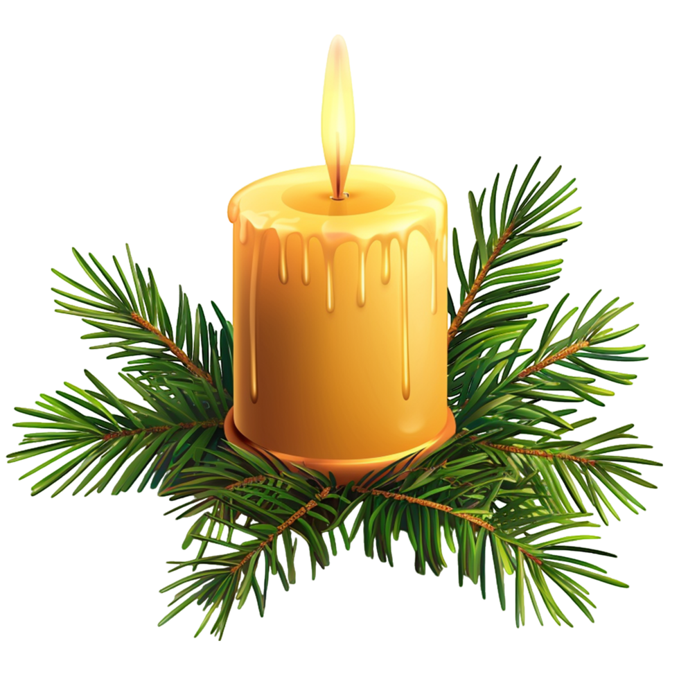 Burning Candle with Evergreen Branches png
