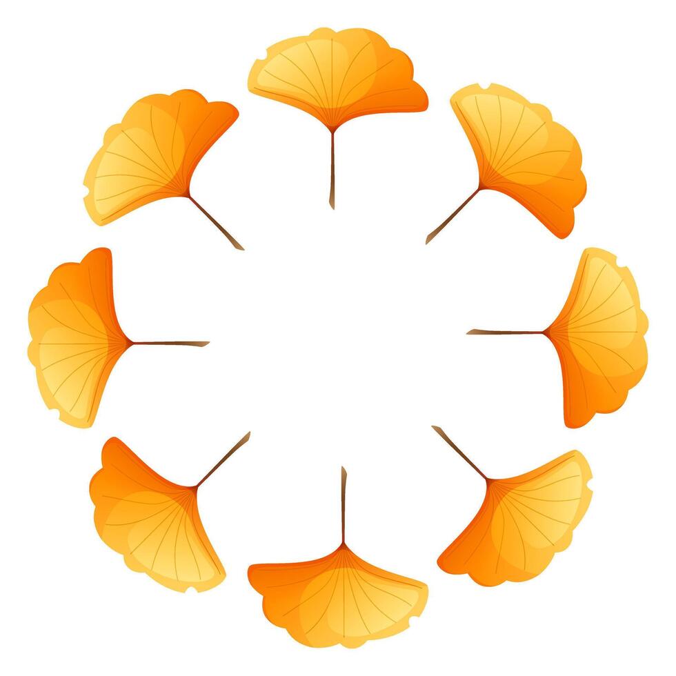 Autumn wreath, round frame of yellow ginkgo leaves on white background. Empty space for text. Design element for Thanksgiving, for fall sale, for seasonal cards and posters. vector