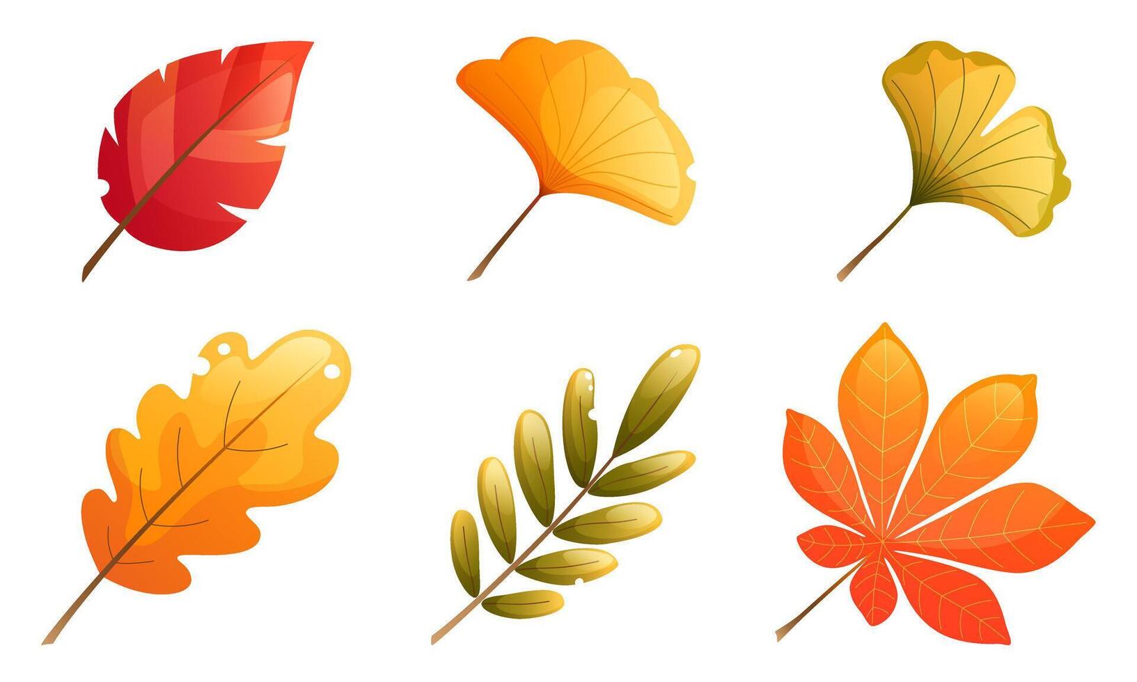 Set of autumn leaves, yellow, red, orange. Ginkgo leaf, rowan leaf, birch leaf, oak leaf, maple leaf. Clip art for autumn design of postcards, posters, booklets. vector
