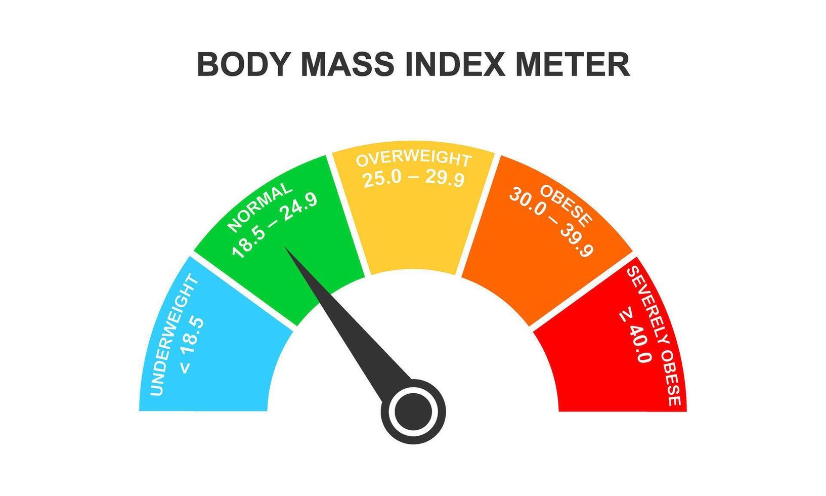 Body mass index meter. Infographic BMI dashboard with arrow. Weight measuring scale with underweight, normal, overweight, obese ranges vector