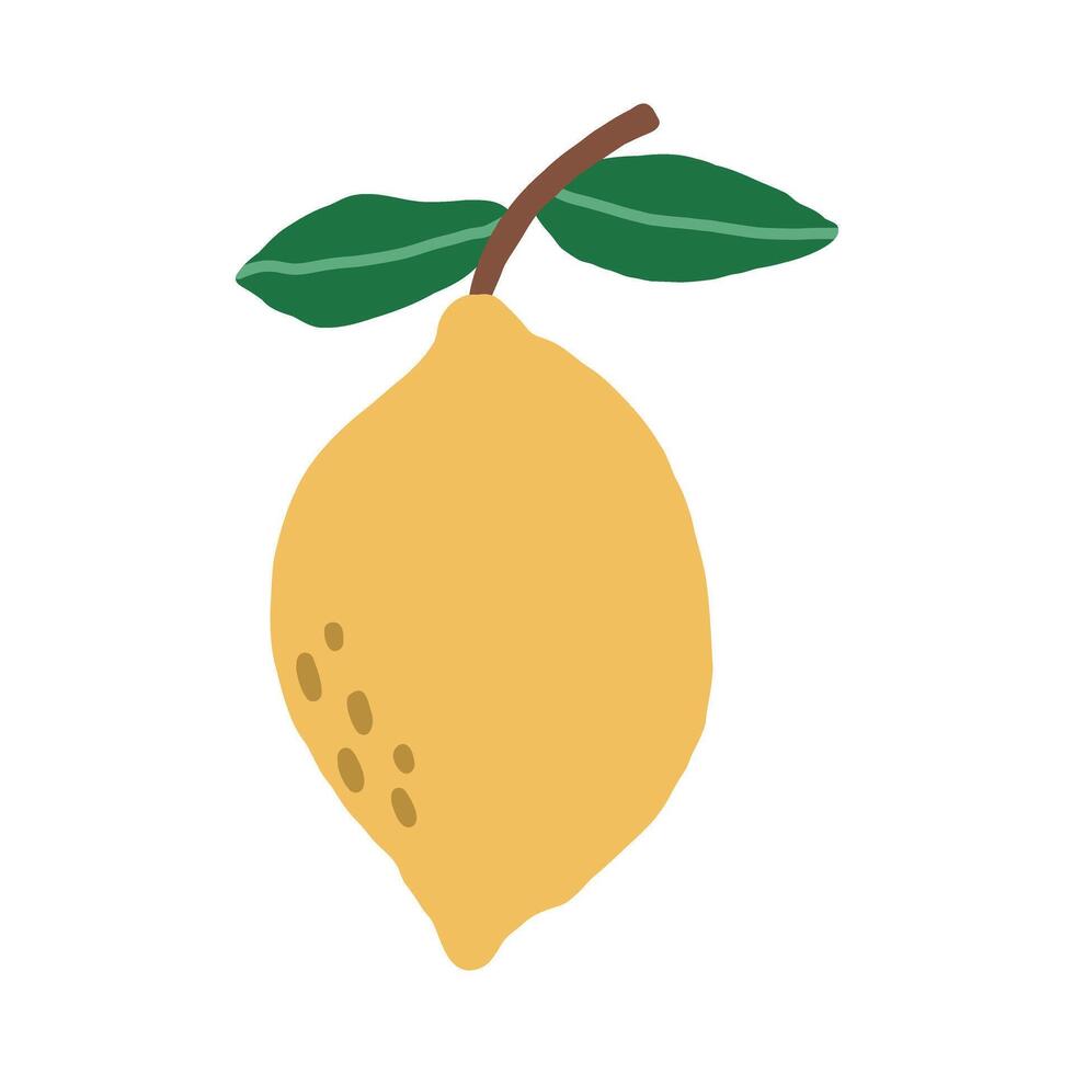 Hand drawn lemon. illustration on a white background vector
