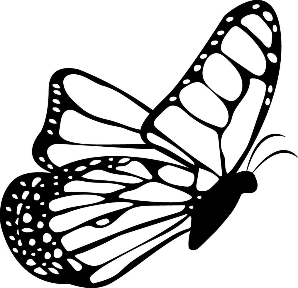 Monochrome Aesthetic Butterfly in Closeup. Decorative Design Element. Ethereal Illustration. Artwork Showcases Lepidoptera, Including Machaon, Monarch, and Papilio Maackii. illustration vector