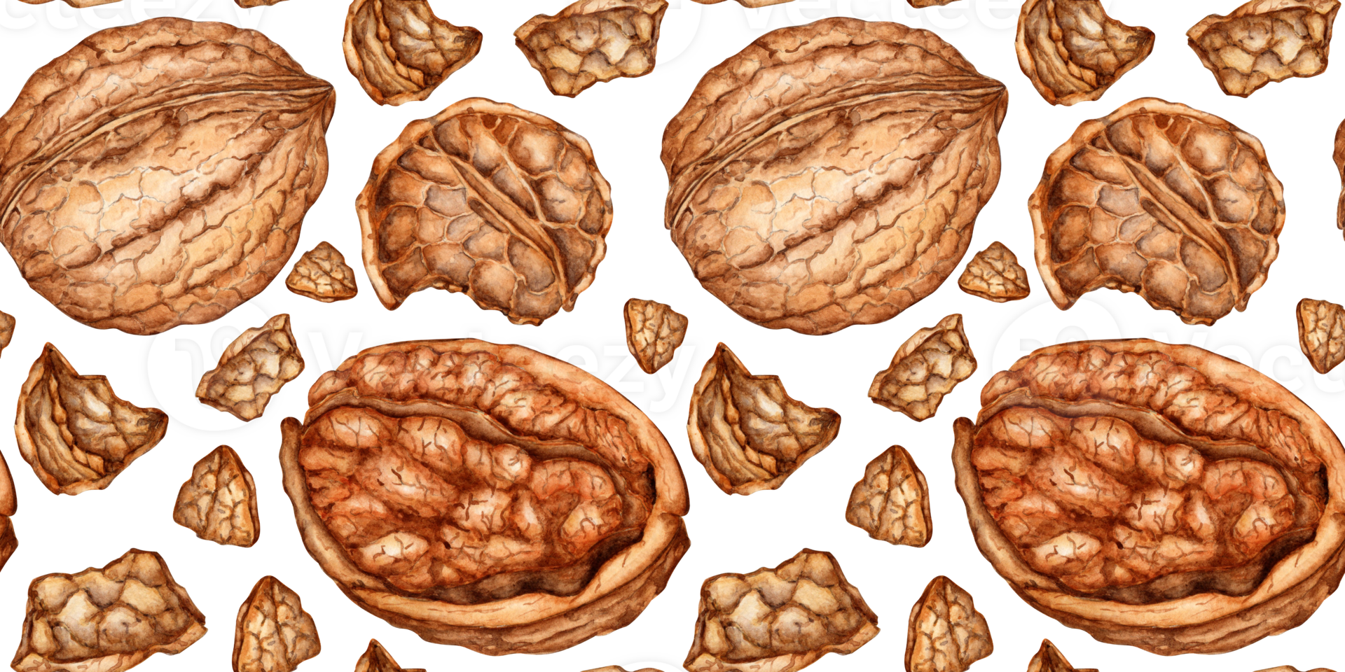 Walnut pattern watercolor illustration isolated from background. Realistic texture and natural colors of the shell and kernel of the nut. Ideal for cooking, botanical still lifes, packaging design. png