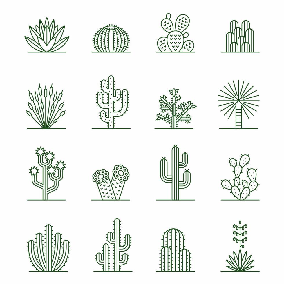 Cactus Icons. Set of Desert Succulents for Design vector