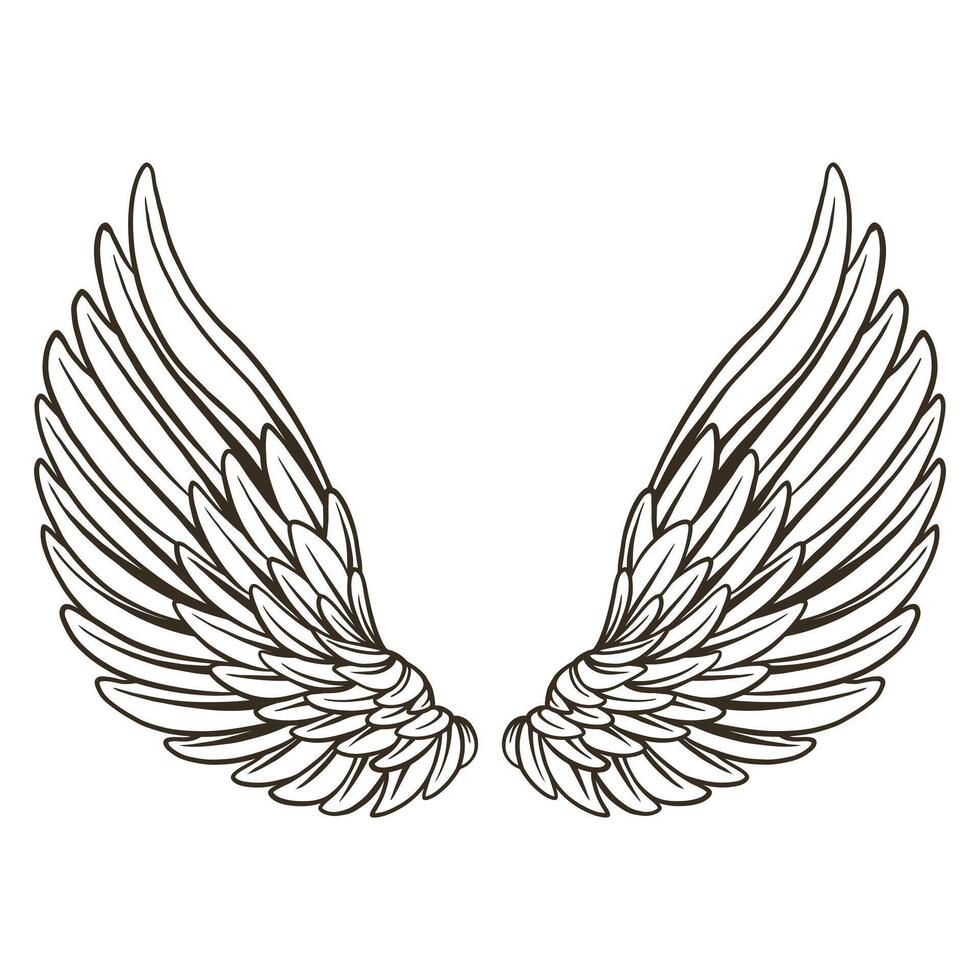 illustrator pair of wings clean line art Tatto, source design vector