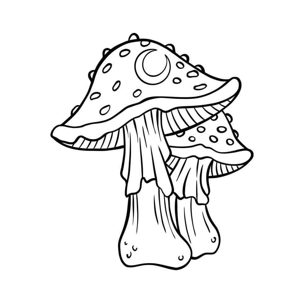 Cute poisonous mushroom illustration, detailed line art vector