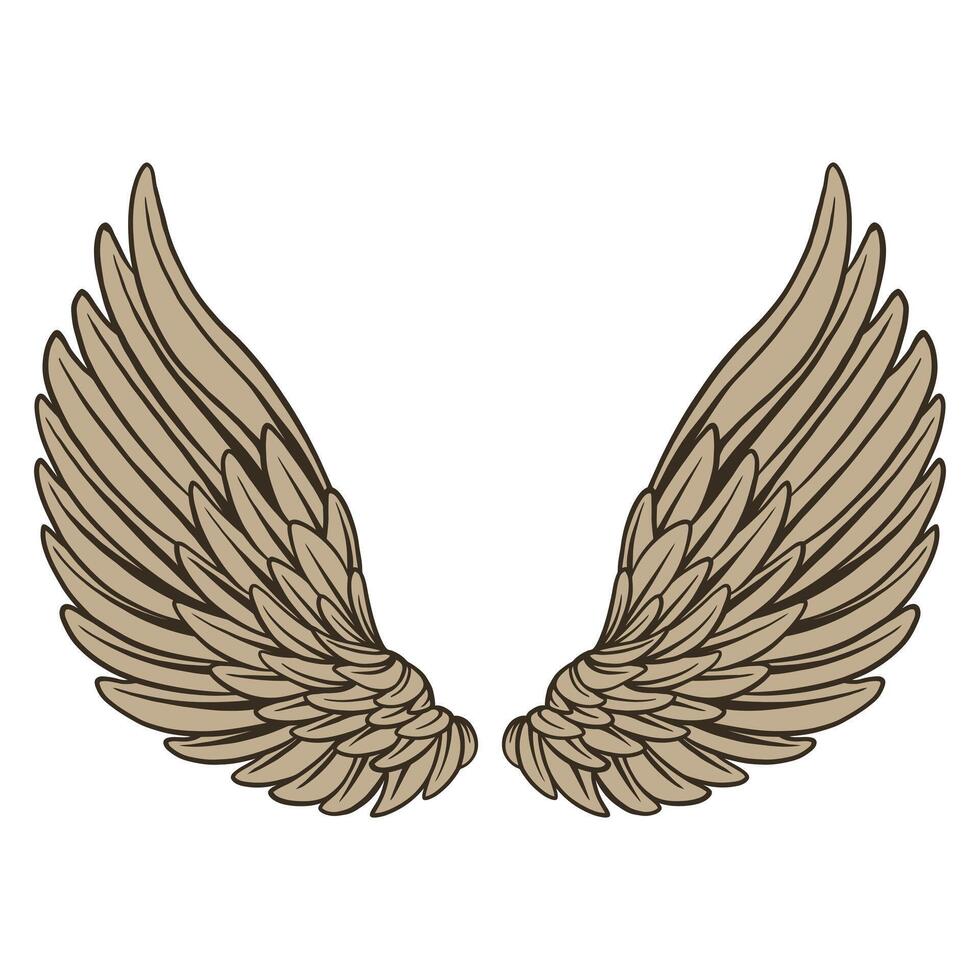illustrator pair of wings clean line art, source design vector