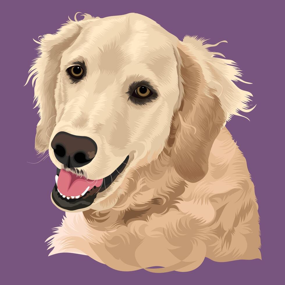 Dog Face Illustration vector