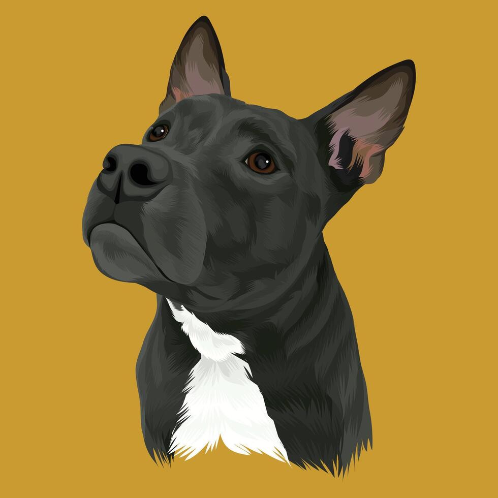 Black and White dog poses on a bright yellow background vector