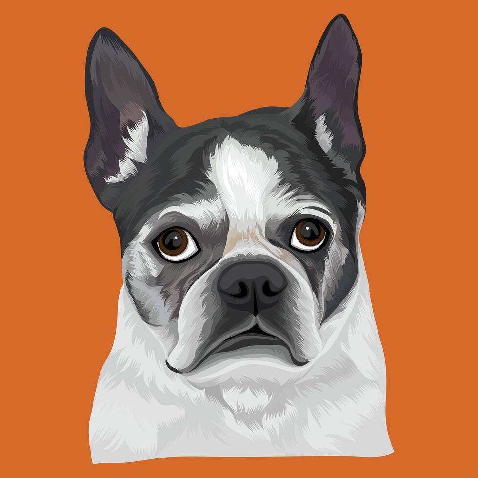 Dog Head Illustration vector