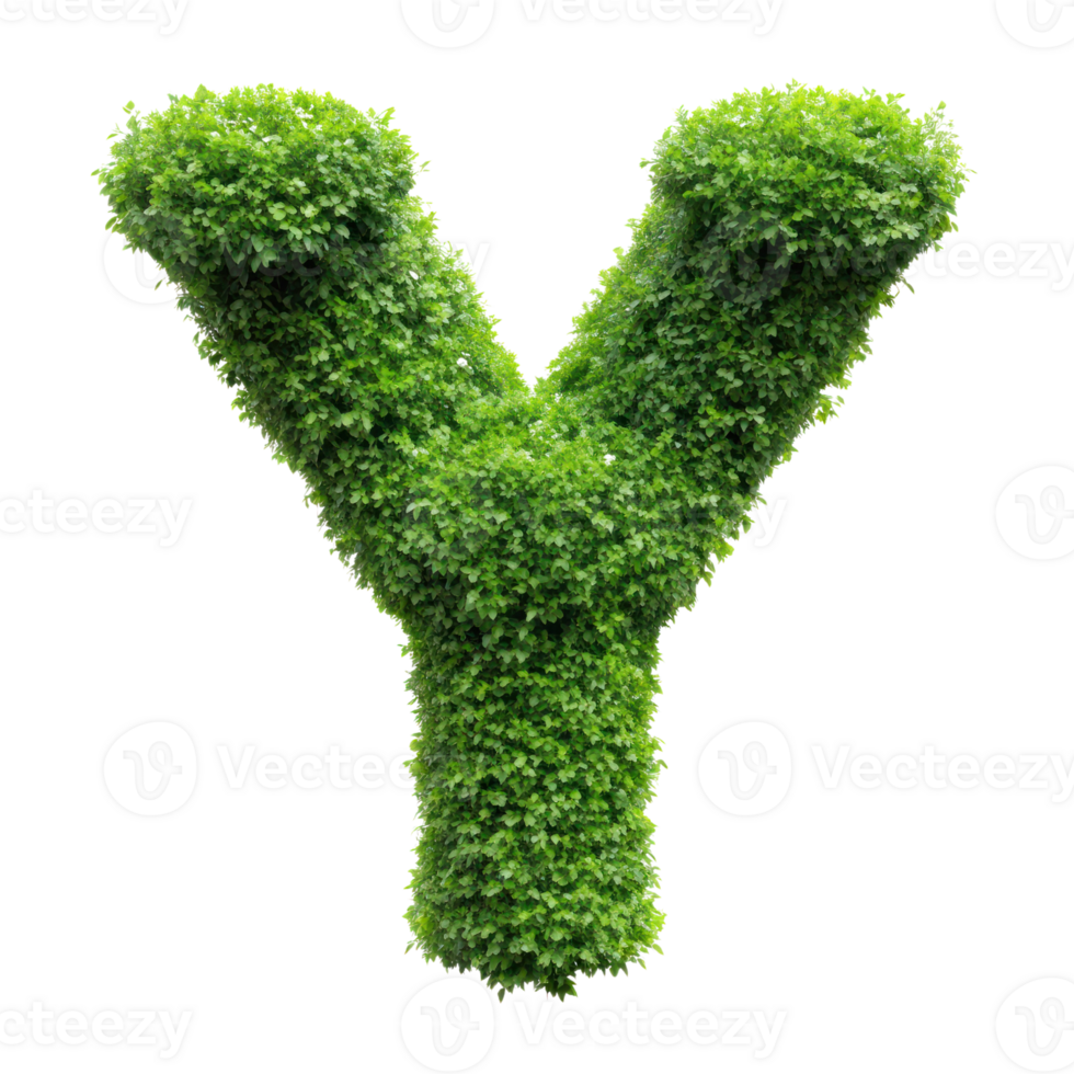 shrubs trimmed into alphabet Y isolated on transparent background png