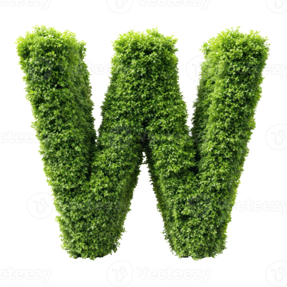 shrubs trimmed into alphabet W isolated on transparent background png
