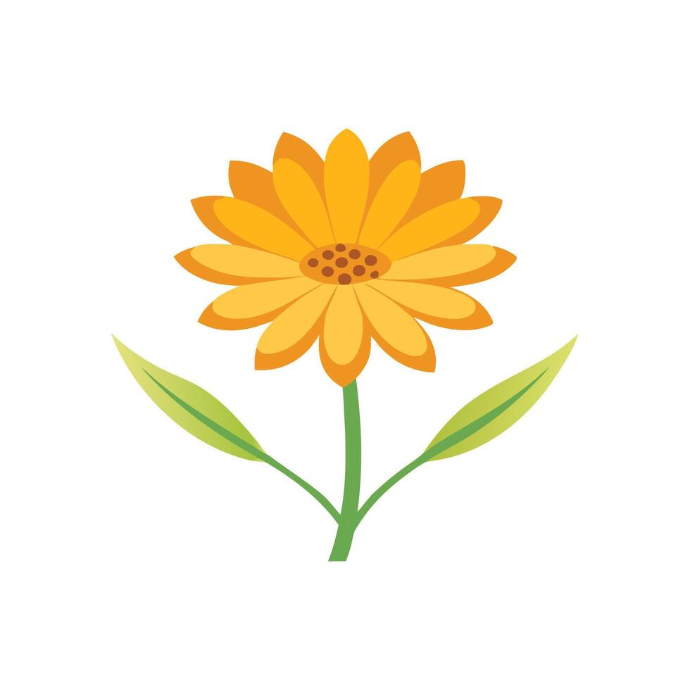 Coreopsis Flower flower isolated flat illustration on white background vector