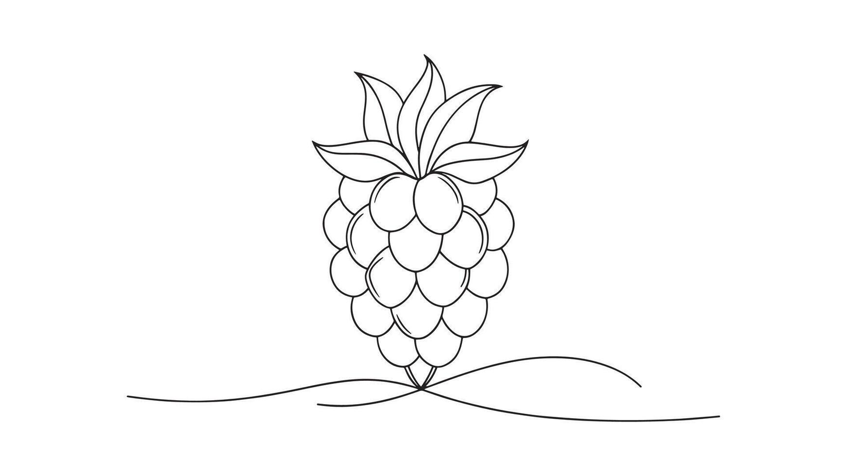 Blackberry Fruit isolated continuous line art flat illustration on white background vector