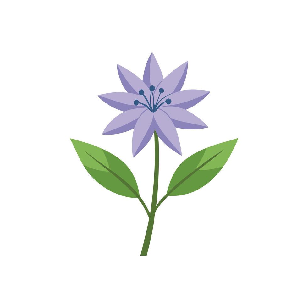 Amsonia Flower flower isolated flat illustration on white background vector