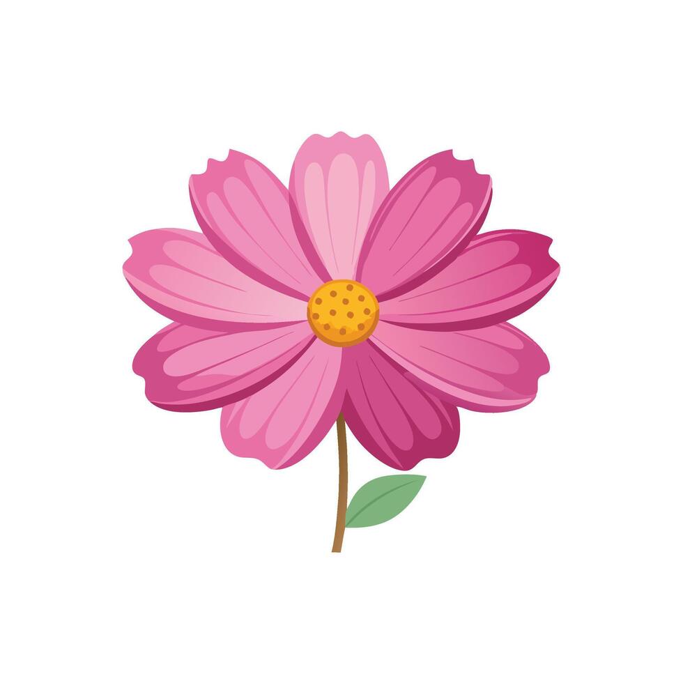 Cosmos Flower flower isolated flat illustration on white background. vector
