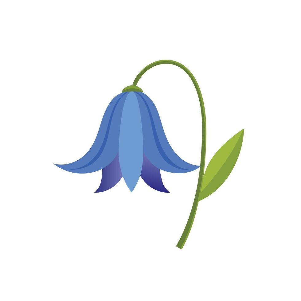 Bluebell flower isolated flat illustration on white background vector