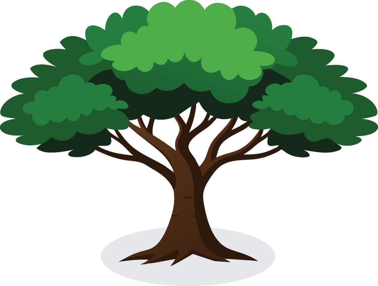 Black Locust tree isolated flat illustration on white background vector