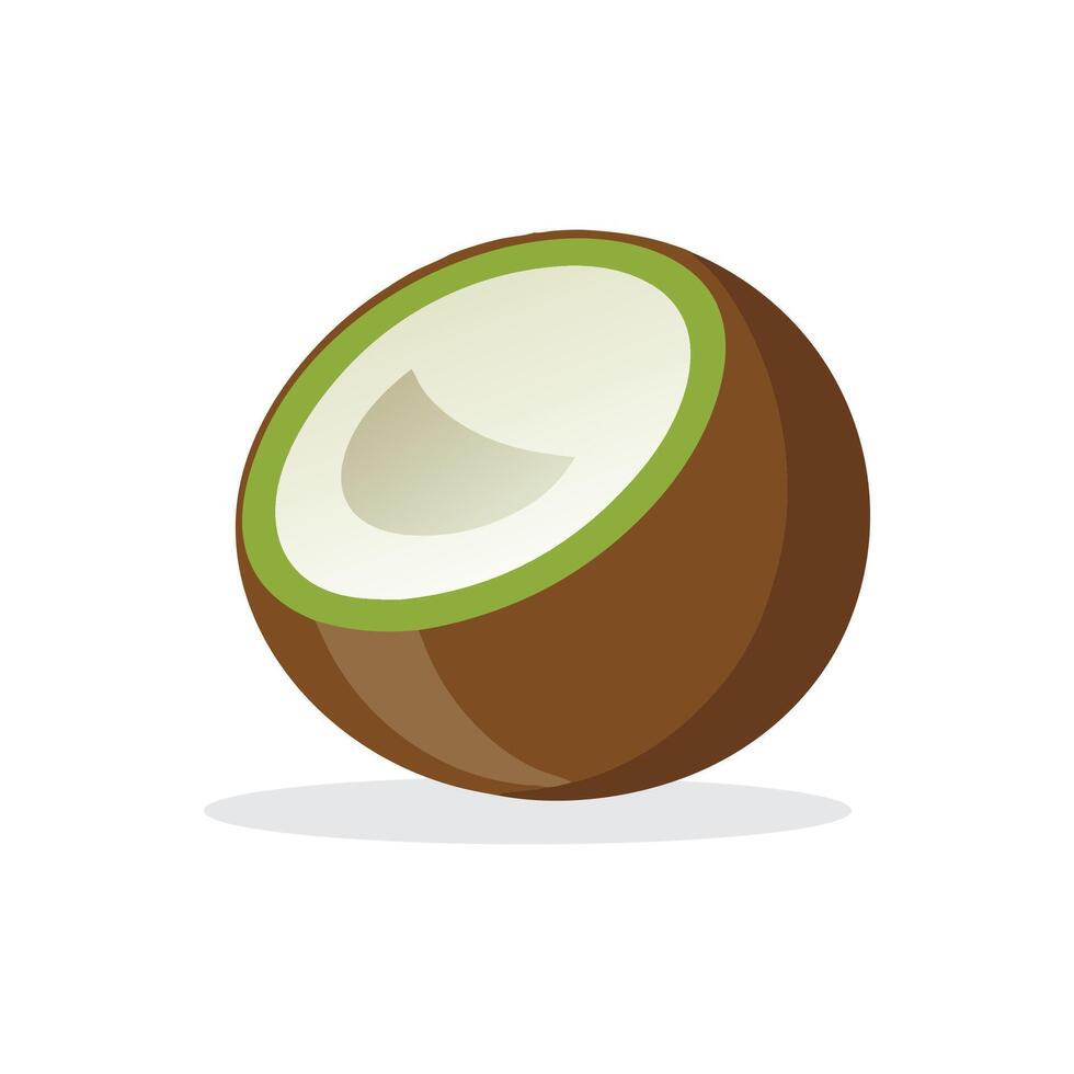 Coconut fruit flat illustration on white background. vector