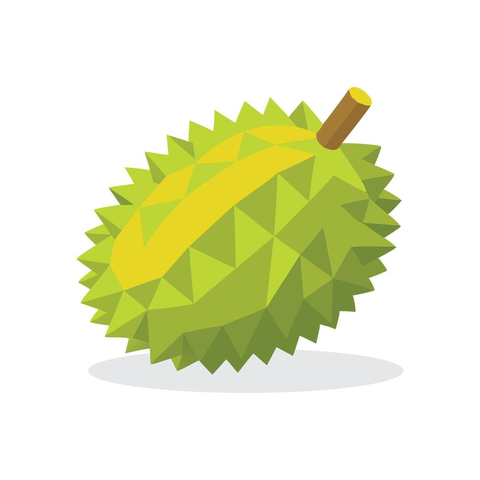 Durian fruit flat illustration on white background. vector