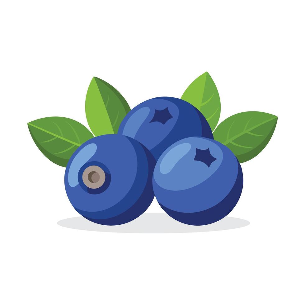 Blueberry fruit flat illustration on white background vector