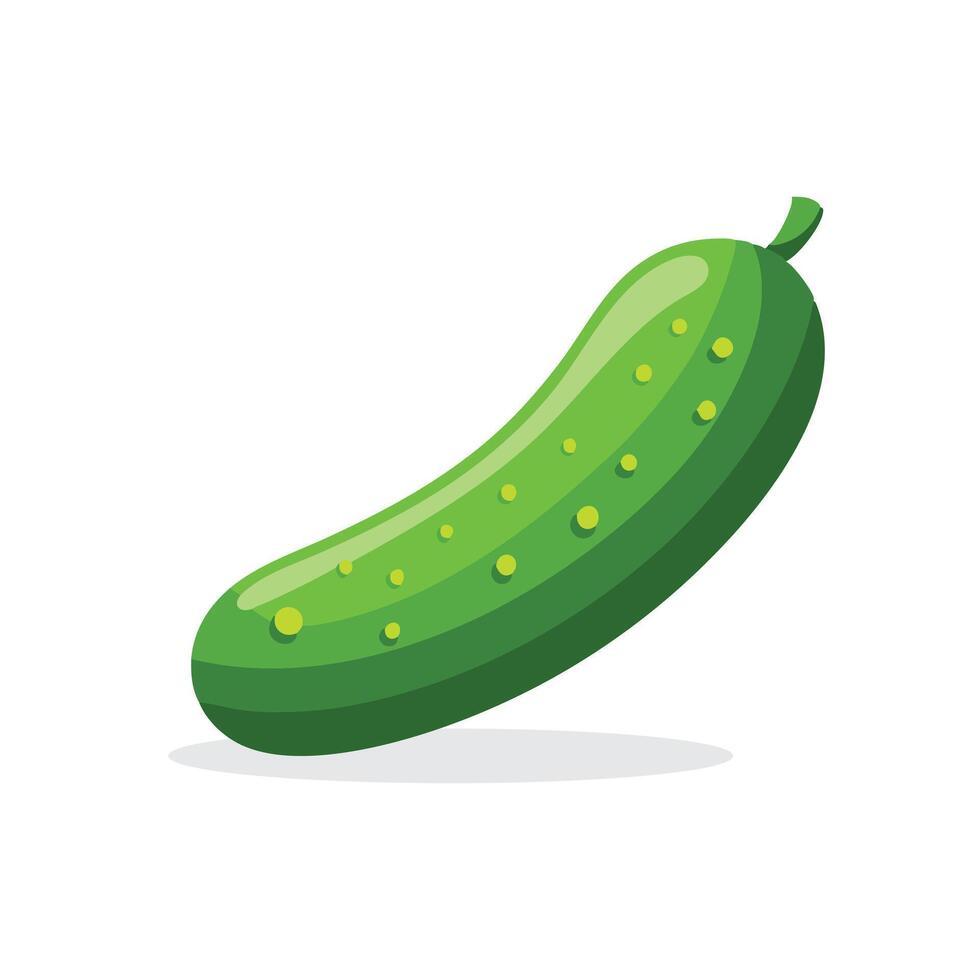 Cucumber fruit isolated flat illustration on white background vector