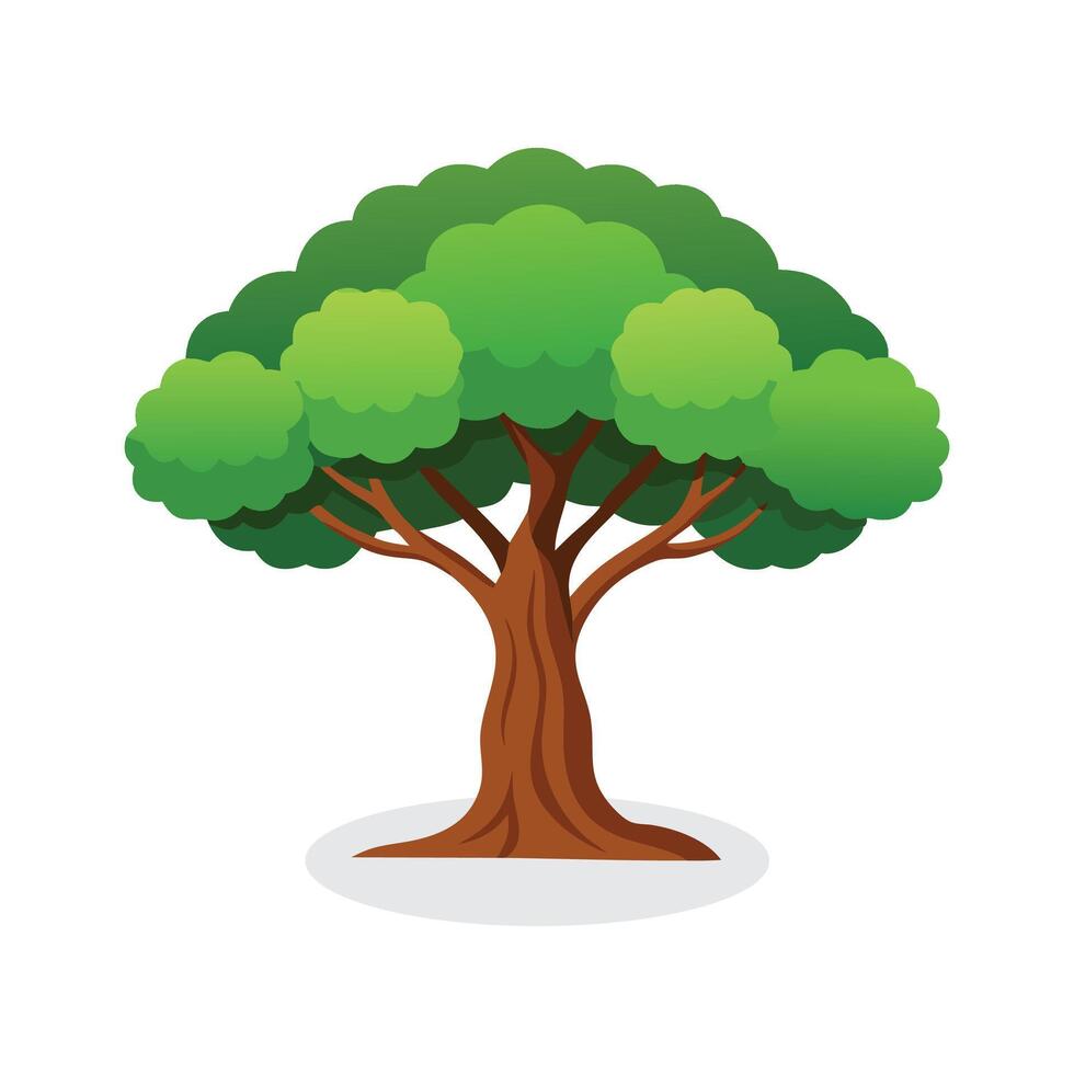 Cork Oak tree isolated flat illustration on white background. vector