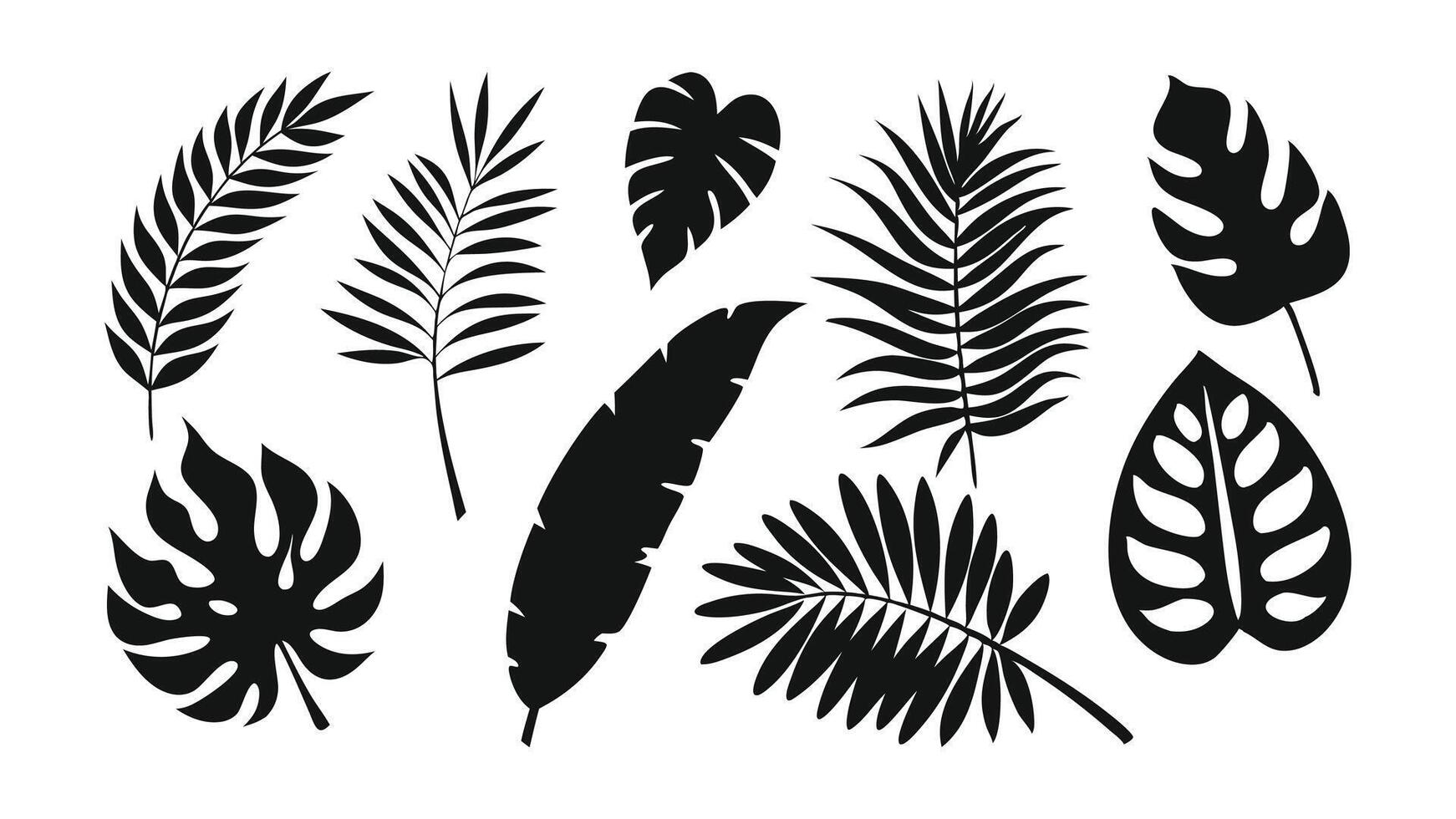 Hand drawn Set of tropical leaves silhouettes. Collection palm leaves. Jungle exotic leaves and botanical plants. isolated flat illustratio vector