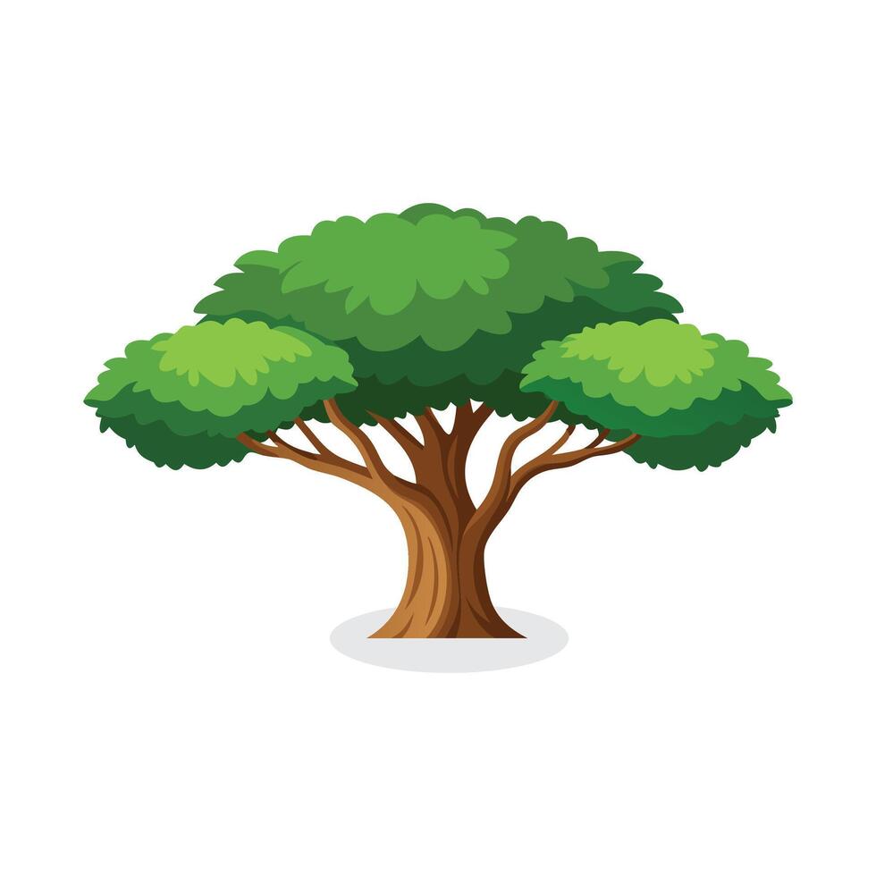 Balsa tree isolated flat illustration on white background. vector