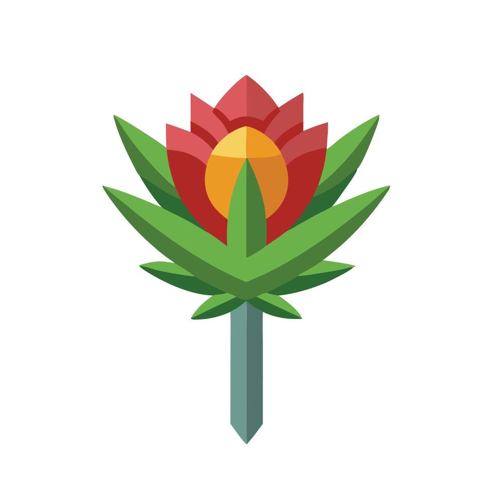 Armeria flower isolated flat illustration on white background vector