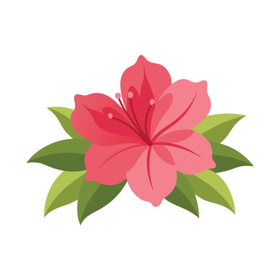 Azalea flower isolated flat illustration on white background vector