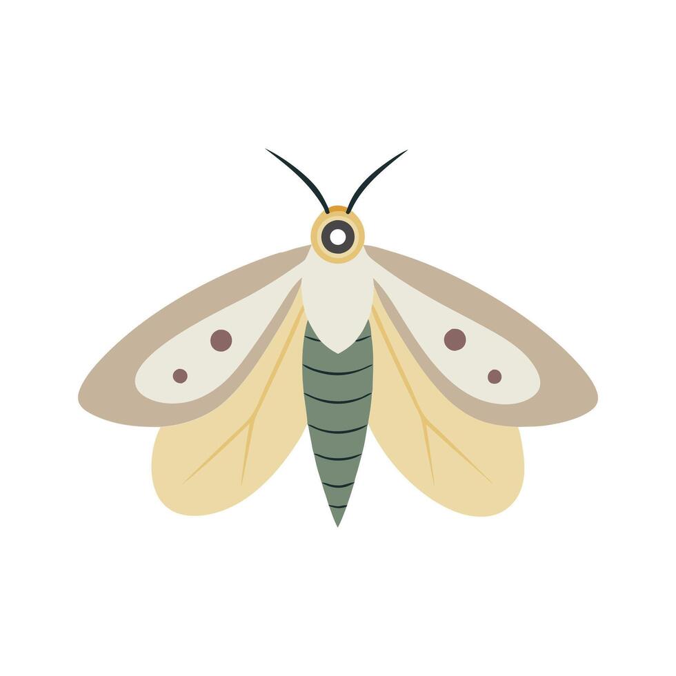 Silkworm Moth insect isolated flat illustration white background vector