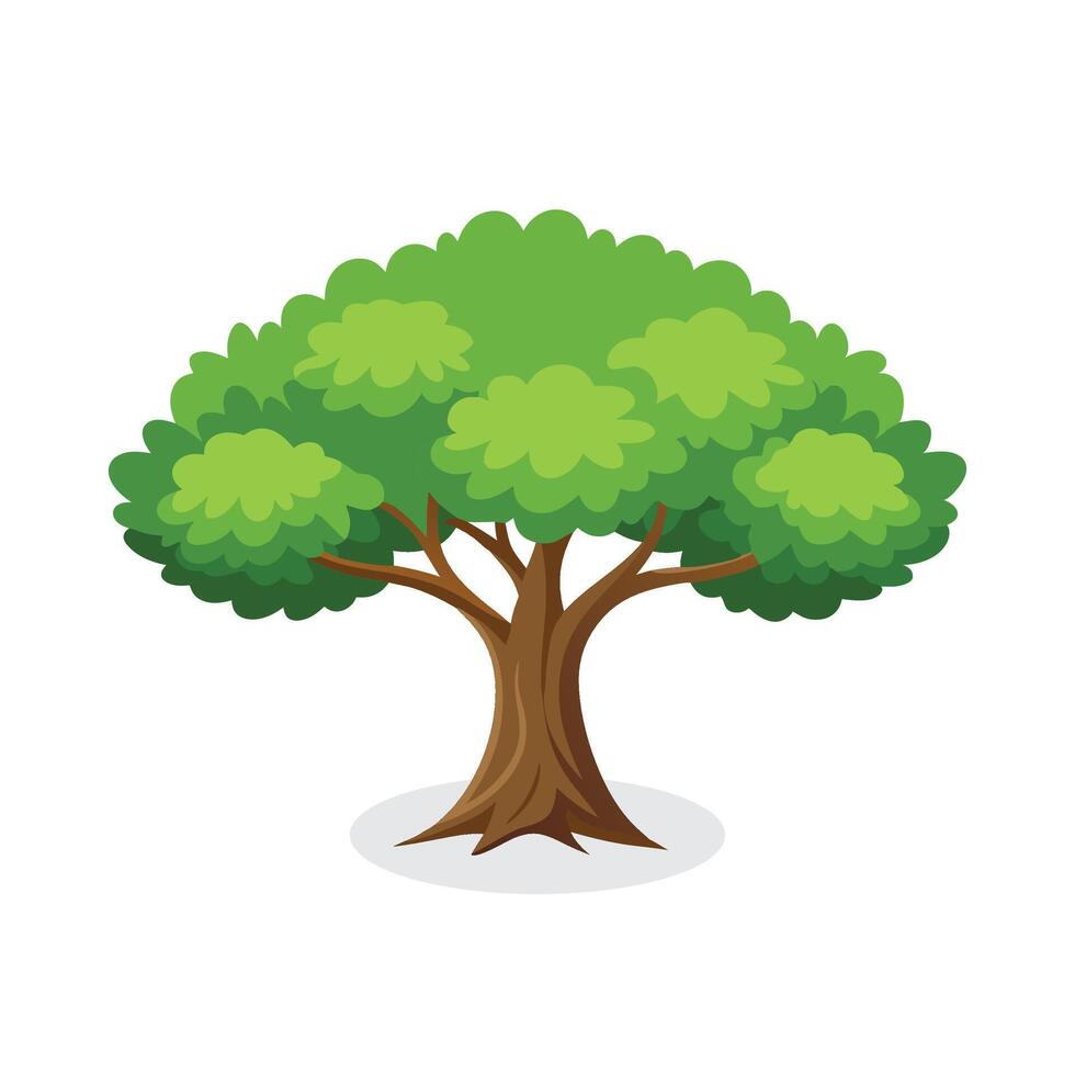 American Elm tree isolated flat illustration on white background vector