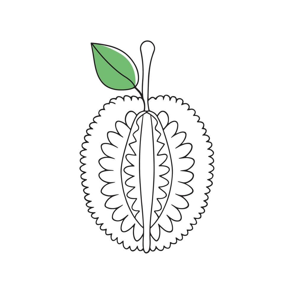 Jack Fruit isolated continuous line art flat illustration on white background vector