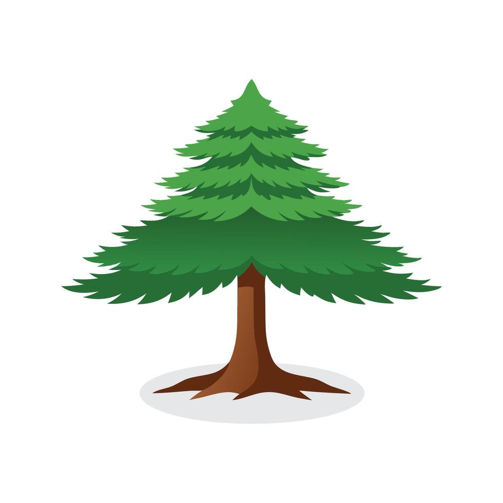 Cedar tree isolated flat illustration on white background vector