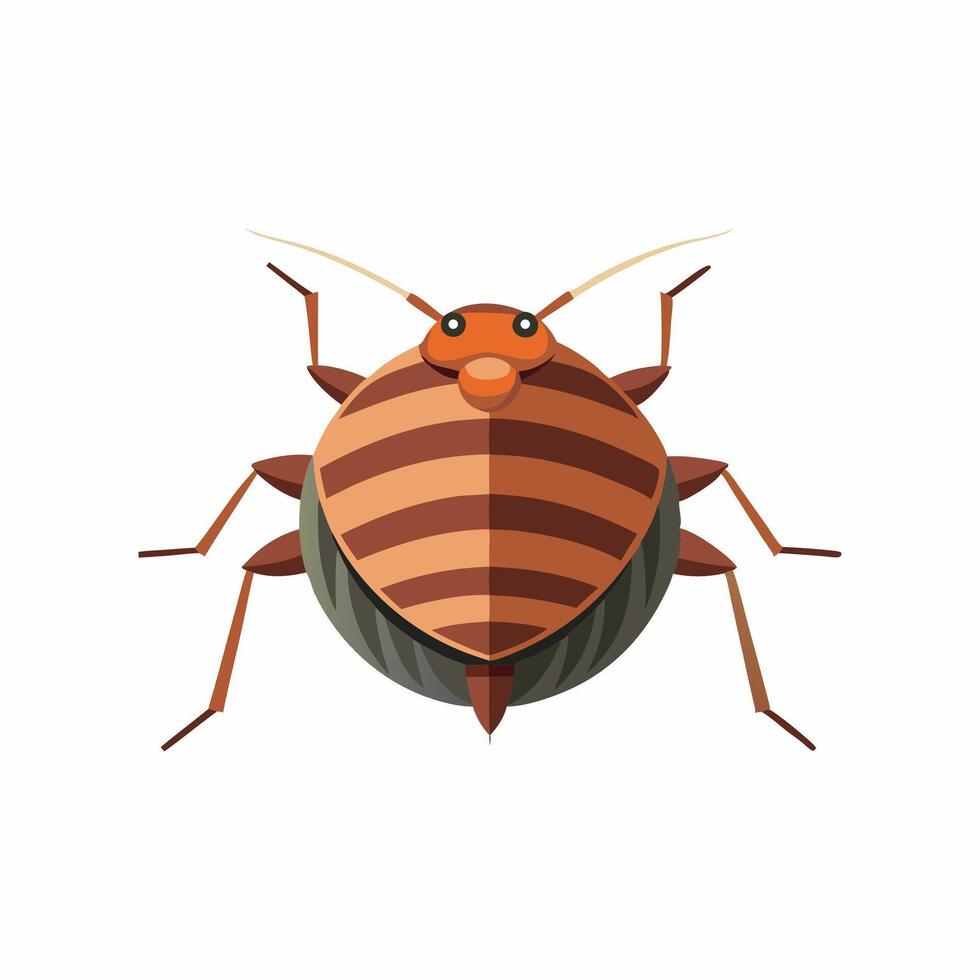 Bed bug animal isolated flat illustration on white background vector